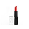 Rich Color Lipstick N. 204 Amy's Cosmetics 5gr