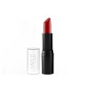 Rich Color Lipstick N. 205 Amy's Cosmetics 5gr