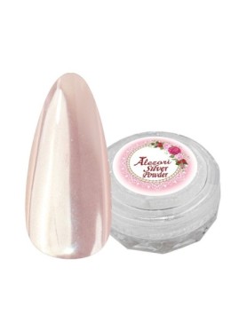 Alezori Powder Nail Silver 3g
